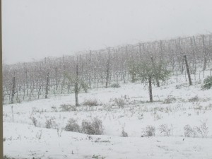 1 Gennaio 2009