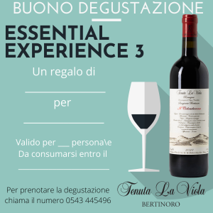 Degustazione Essential experience