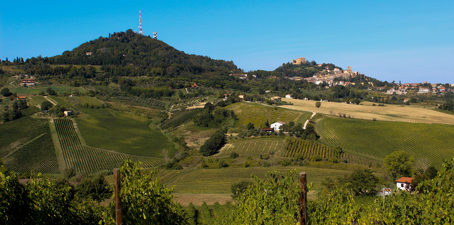 Tenuta La Viola — foto 3