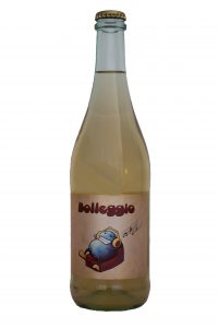 Bolleggio